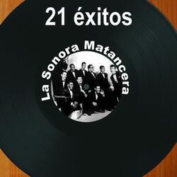 Momposina