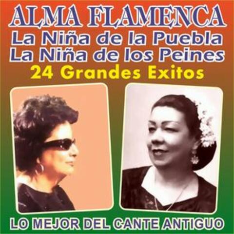 Alma Flamenca