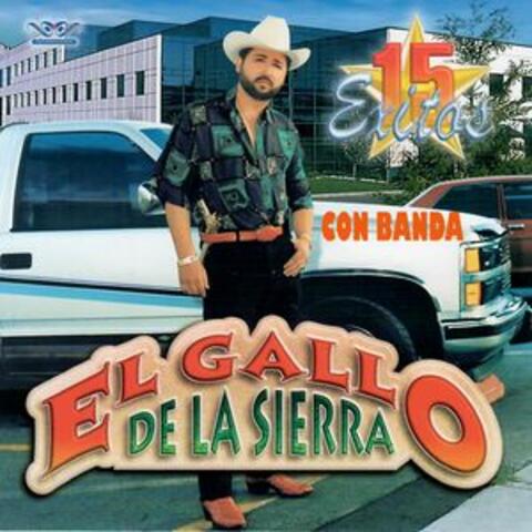 15 Exitos Con Banda