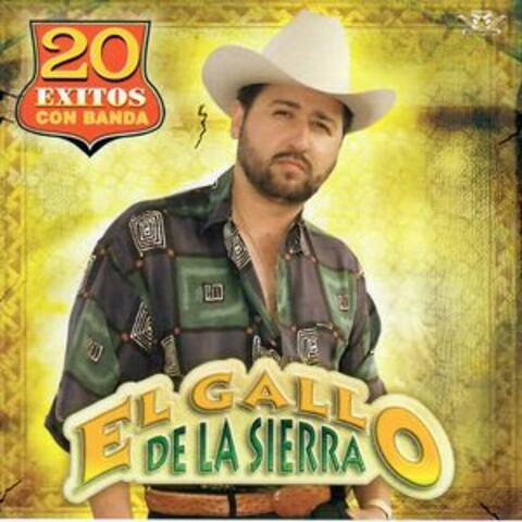 20 Exitos Con Banda
