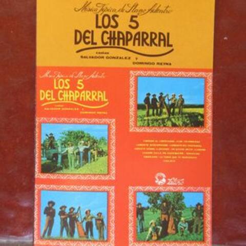 Musica de Llano Adentro