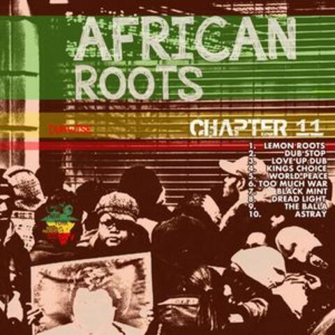 African Roots Chapter 11