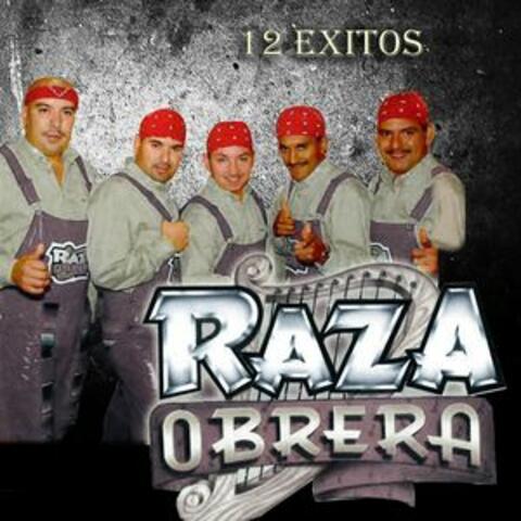 12 Exitos