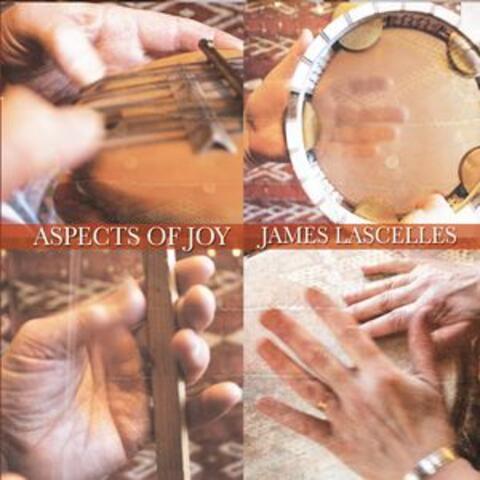 Aspects of Joy