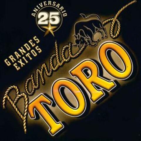 25 Aniversario Grandes Exitos