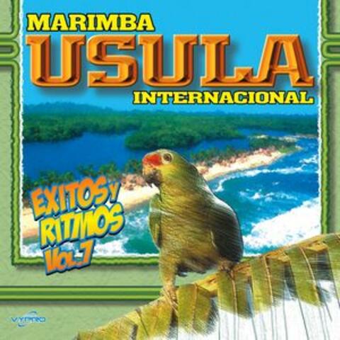 Exitos y Ritmos Vol. 7