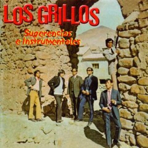 Sugerencias e Instrumentales