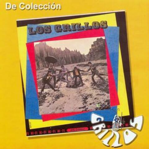 De Colección