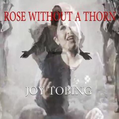 Rose Without a Thorn