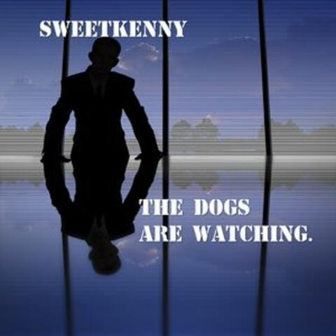 The Dogs Are Watching