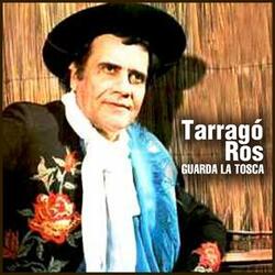 El Sargento Sapo