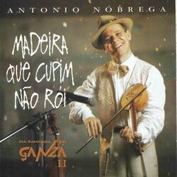 Maracatu Misterioso