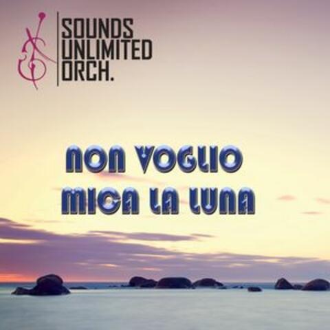 Sounds Unlimited Orchestra
