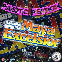 Pasito Perron