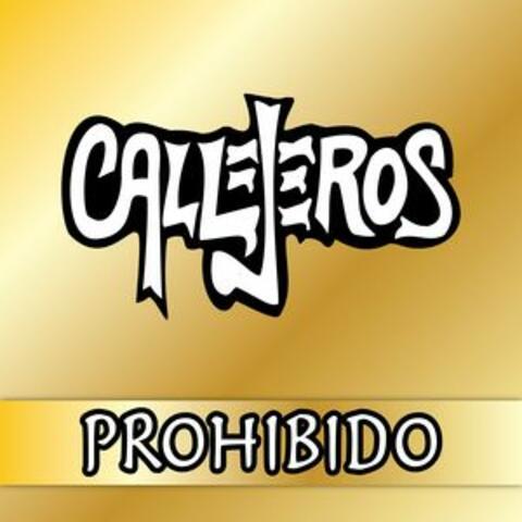 Prohibido (Vivo) - Mezclado y Masterizado 2017