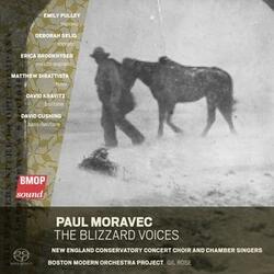 The Blizzard Voices: VI. All Night the Wind Moaned