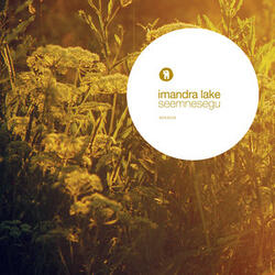 Igane - Instrumentaal (Seeland Remix)