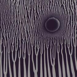 Dylan Carlson