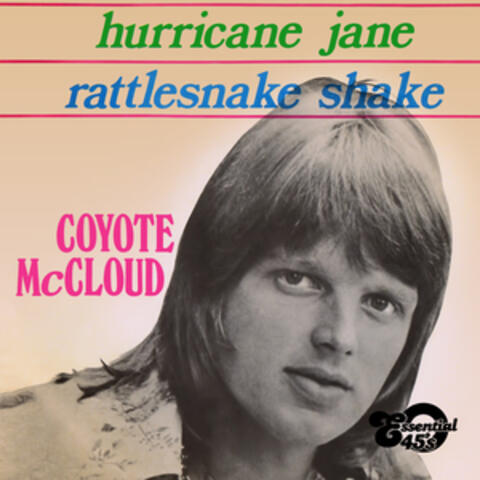 Hurricane Jane / Rattlesnake Shake (Digital 45)