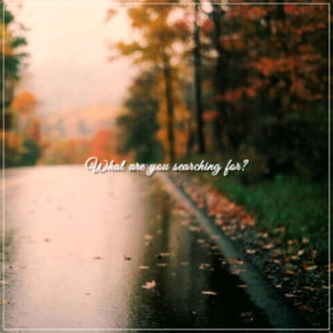 What Are You Searching for?