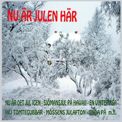 Sjömans jul på Hawaii