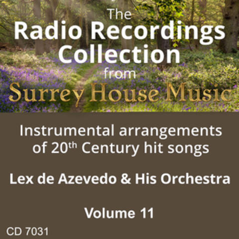 Lex de Azevedo & His Orchestra, Vol. 11