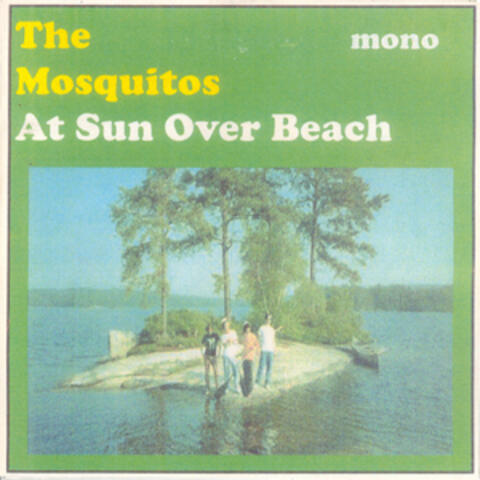 At Sun over Beach