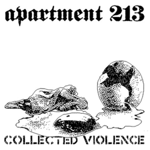 Apartment 213