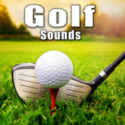 Wooden Headed Golf Driver Takes a Single Hit off Fairway 1