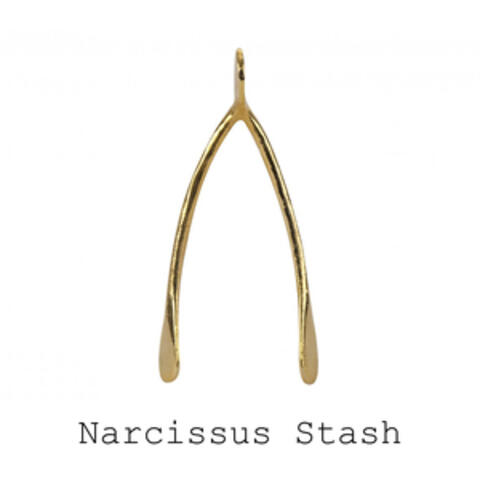 Narcissus Stash