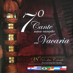 Sonho de Ginete Domador