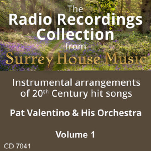 Pat Valentino & His Orchestra, Vol. 1