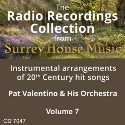 Pat Valentino & His Orchestra, Vol. 7
