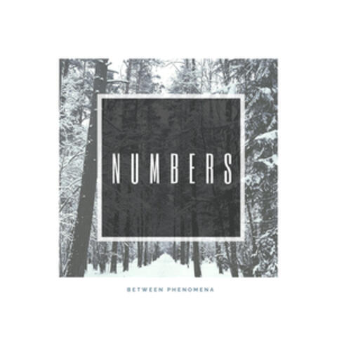 Numbers