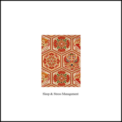 Sleep and Stress Management - Single