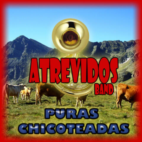 Puras Chicoteadas