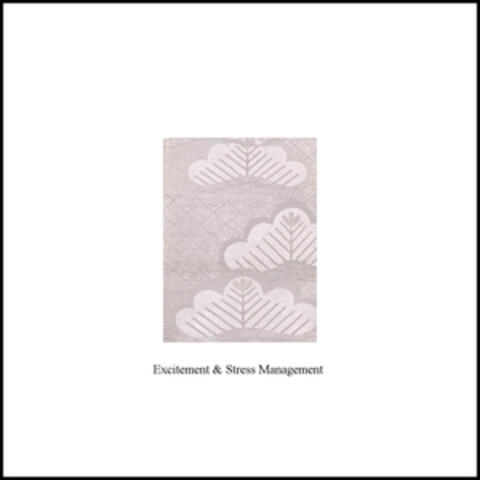 Excitement and Stress Management - Single