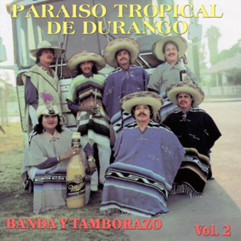 Banda y Tamborazo, vol 2