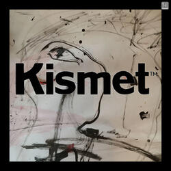 Kismet_tool_2
