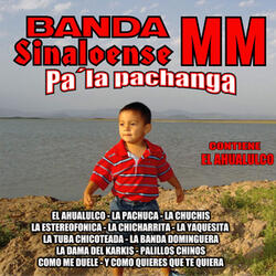 El Ahualulco