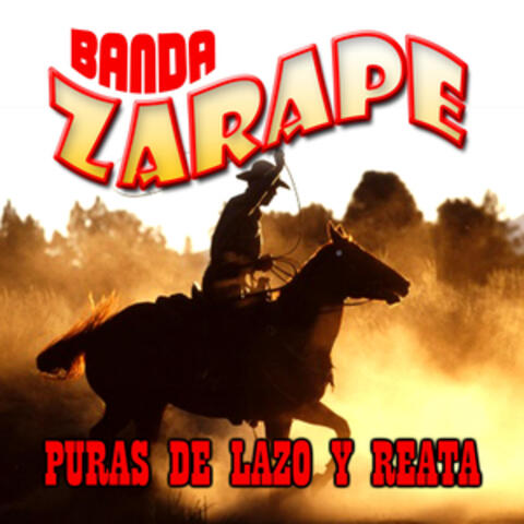 Puras de Lazo y Reata