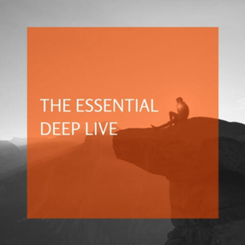 The Essential Deep Live