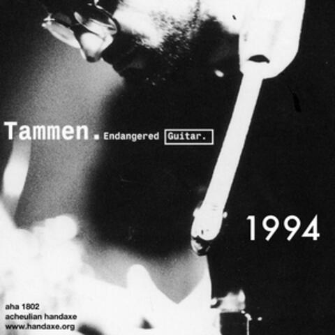 Endangered (noise) Guitar 1994
