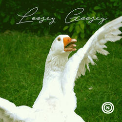 Loosey Goosey