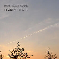 In Dieser Nacht