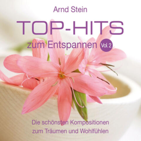 Top Hits Zum Entspannen, Vol. 2