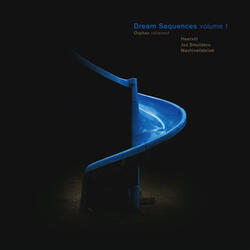 Functional Neuranatomy of Human Rapid Eye Movement Sleep and Dreaming