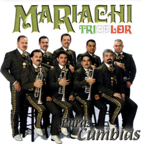Puras Cumbias