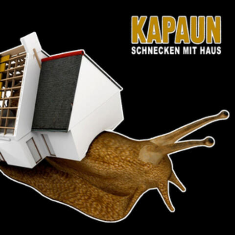 Kapaun Reloaded