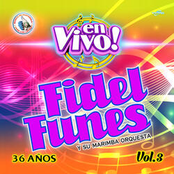 Contento Vine